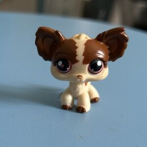 Littlest Pet Shop 385 Chihuahua